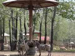 -大连森林动物园