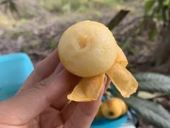 -塘栖枇杷特色园区