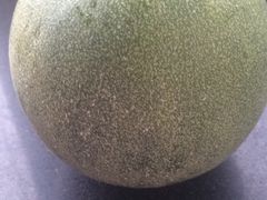 -万源龙顺度假庄园生态观光园