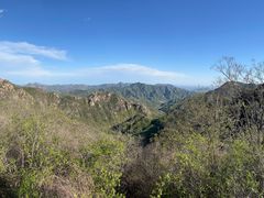 -大岭沟猕猴桃谷风景区