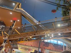 点击看大图 -卡通尼·Safari非洲探索乐园·生日会(金桥国际商业广场店)