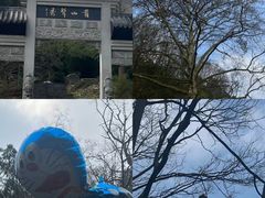 -黔灵山公园