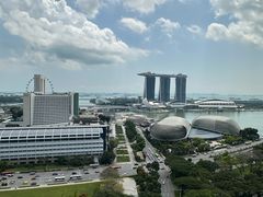 -新加坡瑞士史丹福酒店