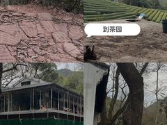 -杭州植物园