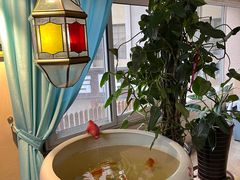 -咖啡之翼·咖餐厅(武清店)