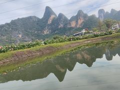 -明仕田园