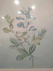 -颜蕾医美·黄金微针·水光·玻尿酸·超声炮·抗衰中心