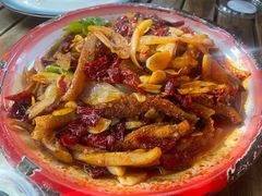 -柴窝堡22号辣子鸡·传承新疆菜