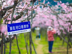 -河口景区