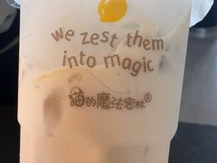 -猫的魔法密林(衣裳街店)