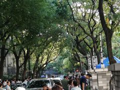 -南京市实验幼儿园