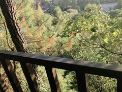 -故乡缘·香格里拉山庄(冷竹路店)