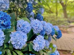 -莫干山风景区