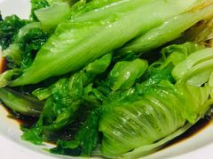 罗马生菜-西贝莜面村