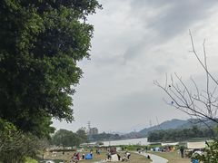 -风云岭森林公园
