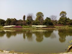 -上海鲜花港