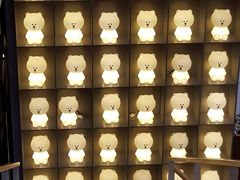 -line friends(明洞旗舰店)