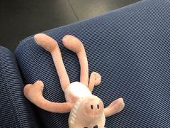 -温州博物馆
