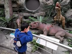 -国家自然博物馆