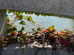 -昆山城市生态森林公园