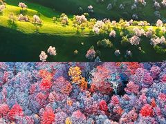 -罗红摄影艺术馆