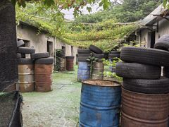 -东湖小天池真人CS彩弹野战基地
