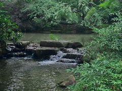 -中国茶叶博物馆(双峰馆区)