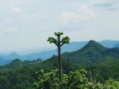 -山王坪喀斯特国家生态公园