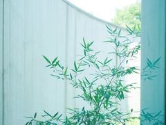 -中国丝绸博物馆