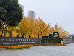 -重庆市江北嘴中央商务区中央公园