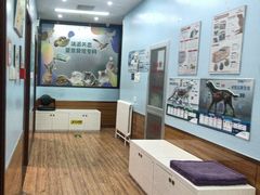 -瑞派·关忠动物医院·异宠专科·犬猫肿瘤·皮肤专科(望京店)