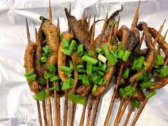 鳝鱼-晓靖轩烧烤(沙河风情店)