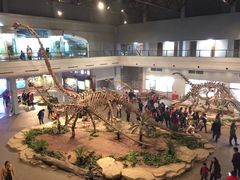 -自贡恐龙博物馆