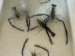 -荣小馆(临海世纪花城店)