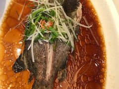 多宝鱼-小龙酒家(桂平路店)