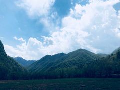 -黑河国家森林公园