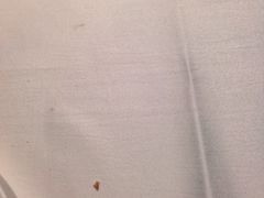 -皇上皇腊味店(下九路店)
