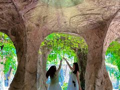 -沈阳植物园