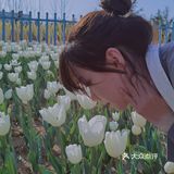 烟台郁金香🌷：和阿姨们抢夺最美拍照机位