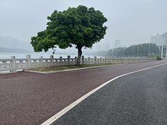 -南宁南湖公园