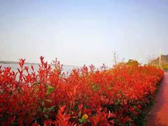 -幕燕滨江·长江观音景区