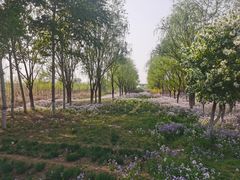 -东郊湿地公园