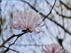 -三福时尚(三峡广场华夏银座店)