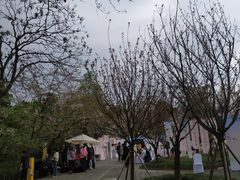 -南山植物园