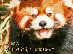 -动物园(地铁站)