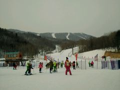 -亚布力新体委滑雪场