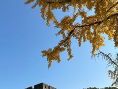 -虞山城墙