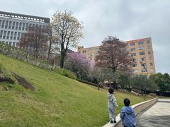 -广州七星岗古海岸遗址科学公园