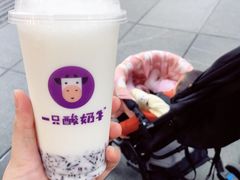 -一只酸奶牛(八一路店)