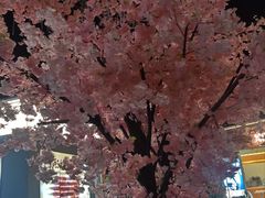 -首开·龙湖成都西宸天街